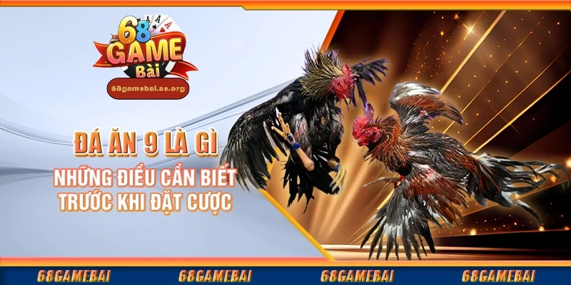 Đá ăn 9 là gì - Những điều cần biết trước khi đặt cược