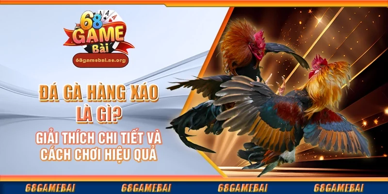 Đá gà hàng xáo là gì? Giải thích chi tiết và cách chơi hiệu quả