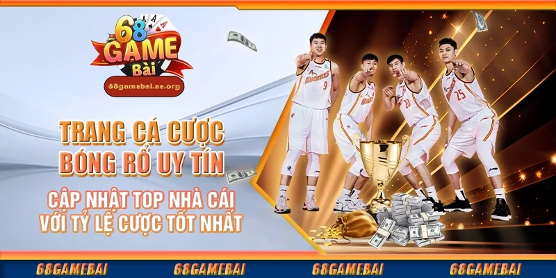 Trang cá cược bóng rổ uy tín – Cập nhật top nhà cái với tỷ lệ cược tốt nhất