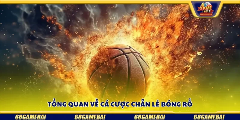 Tổng quan về cá cược chẵn lẻ bóng rổ