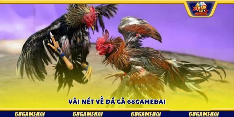Vài nét về đá gà 68gamebai