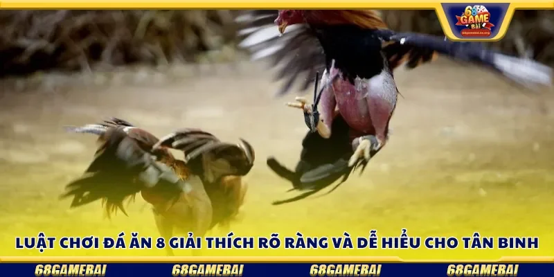 Luật chơi đá ăn 8 giải thích rõ ràng và dễ hiểu cho tân binh