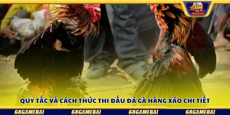 Quy tắc và cách thức thi đấu đá gà hàng xáo chi tiết