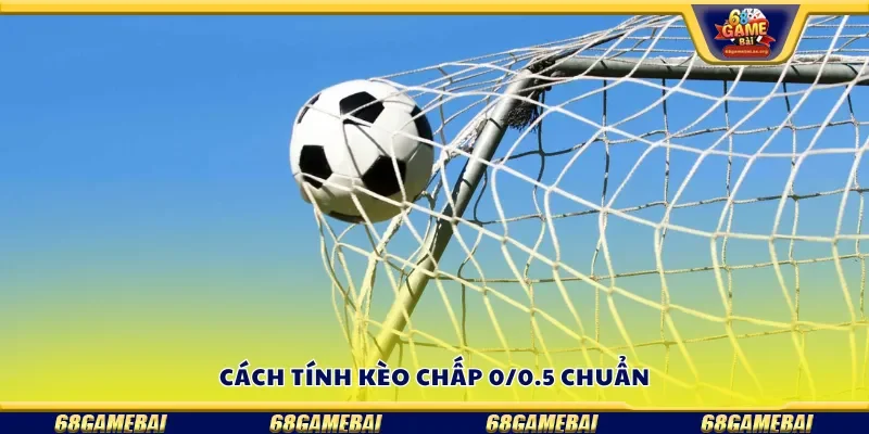 Hướng dẫn cách tính kèo chấp 0/0.5 chuẩn