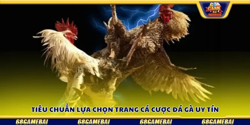 Tiêu chuẩn lựa chọn trang cá cược đá gà uy tín