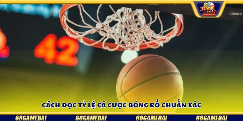 Hướng dẫn cách đọc tỷ lệ cá cược bóng rổ chuẩn xác